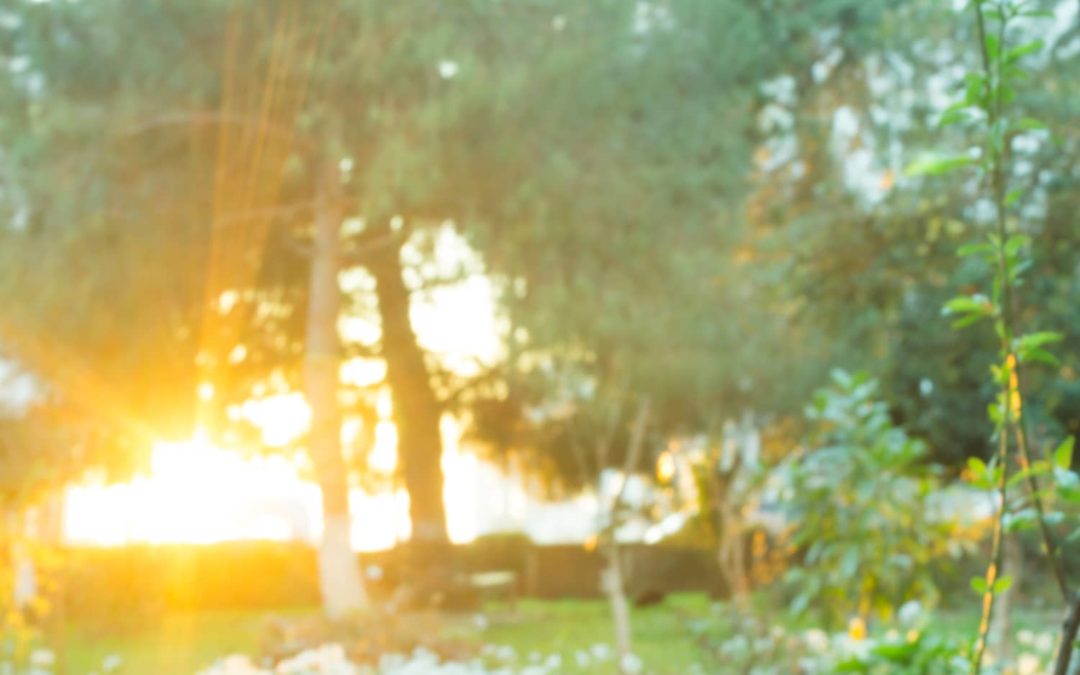 7 Simple and Joyous Rituals to Celebrate the Summer Solstice