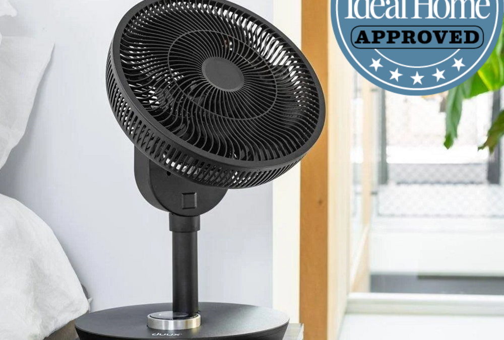 Best fan – tackle the heat with our pick of the best smart, desk and pedestal fans