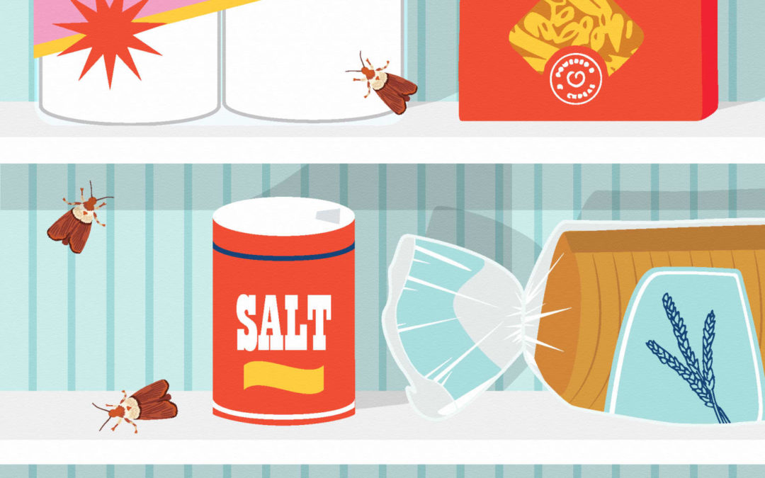Here Are the Most Common Pests You’ll Find at Home in Each State