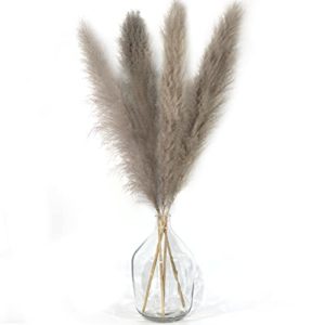 4 Stems Tall Pampas Grass