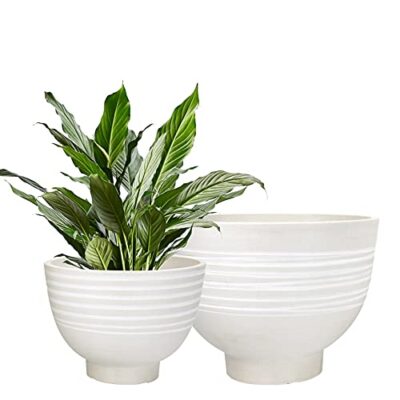 White Textured Flower Pots