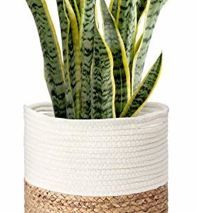 Cotton Rope Plant Basket with Water Hyacinth