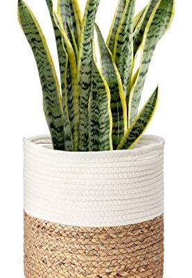 Cotton Rope Plant Basket with Water Hyacinth