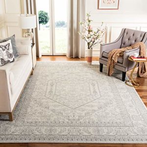 Safavieh Adirondack Collection Oriental Medallion Non-Shedding Stain Resistant Area Rug