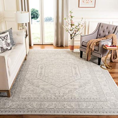 Safavieh Adirondack Collection Oriental Medallion Non-Shedding Stain Resistant Area Rug