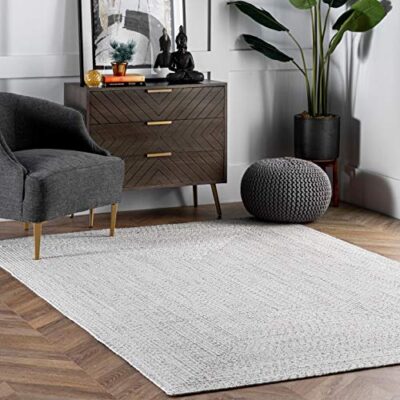 Wynn Braided Indoor/Outdoor Accent Rug