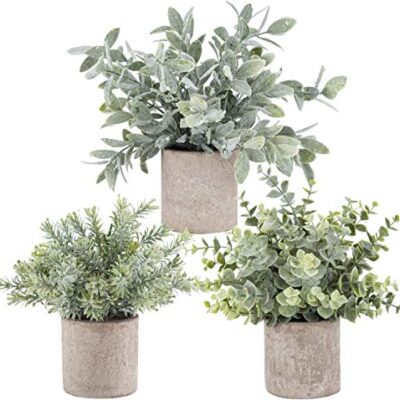 3 Pack Mini Potted Artificial Eucalyptus Plants