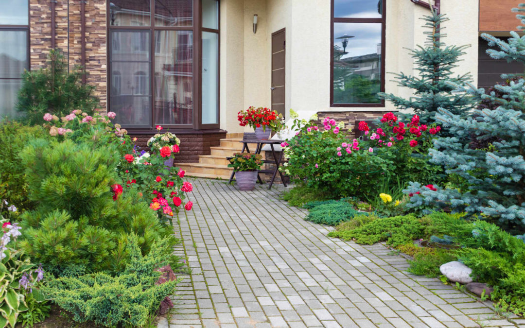 “Pot-Scaping” Is the Outdoor Trend Anyone Can Do — Even Inside