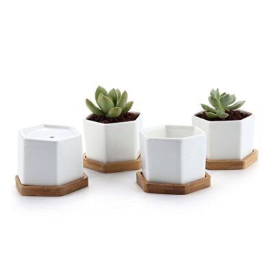 Small White Succulent Planter Pots with Bamboo Hexagon Tray Set of 4