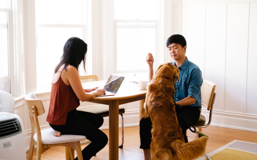 A Compact San Francisco Condo Shows How to Optimize Space Beautifully