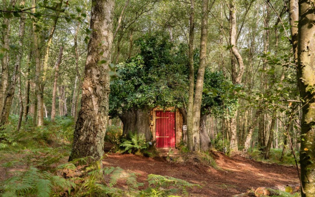 Winnie the Pooh’s House Is Now on Airbnb, and It Will Make You Feel Super Nostalgic