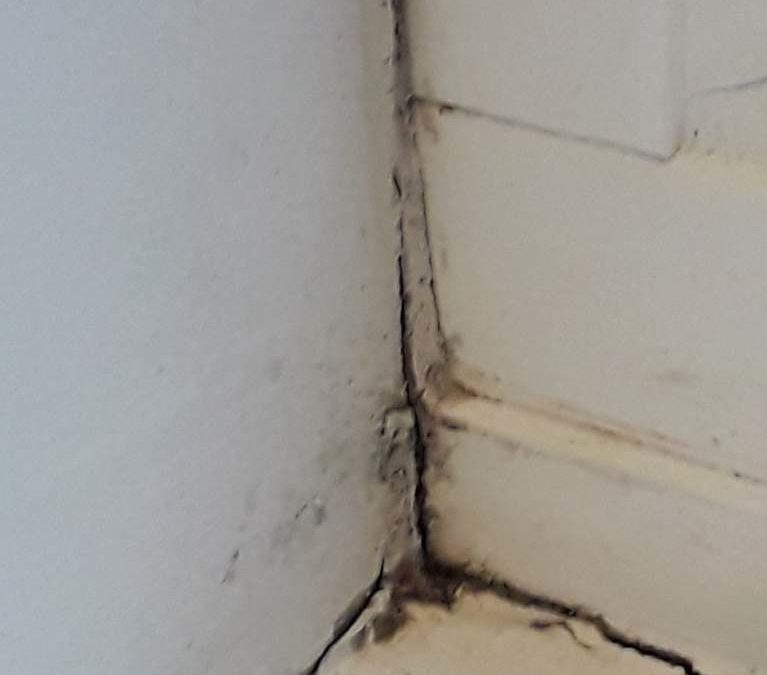 How To Tackle Mould In Your Home