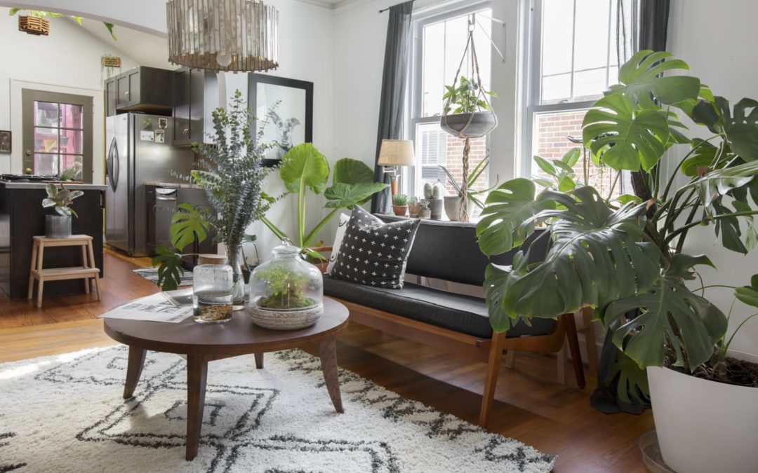 This $0 Hack Plant Shop Pros Swear By Makes Potting Big Plants a Breeze