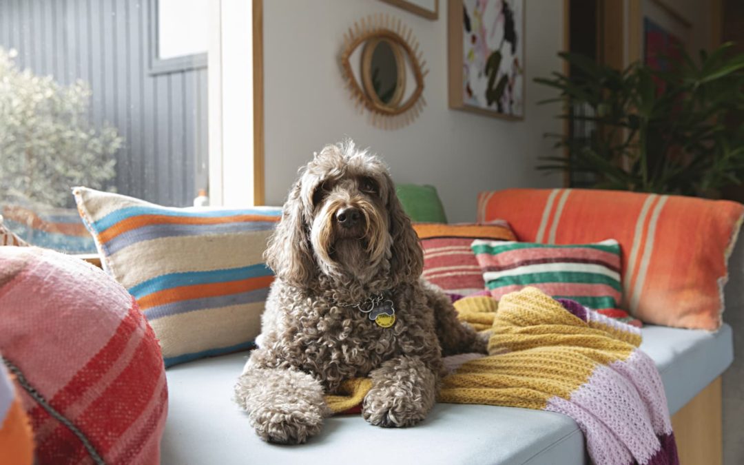 This Stylish Dog Accessory Makes Picking Up After Your Pooch So Much Easier