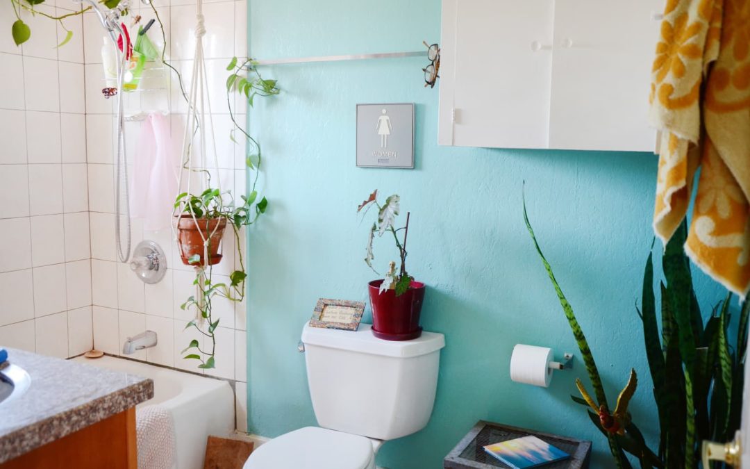 This Stylish Storage Solution Will Really Put Your Head in the Clouds — and Your Toilet Paper, Too!