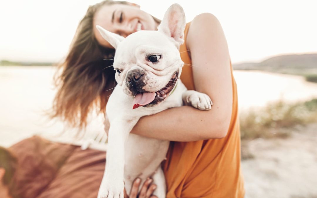 You Can Add Your Pup’s Face to a Box of Dog Treats — and It’s The Cutest Gift We’ve Ever Seen