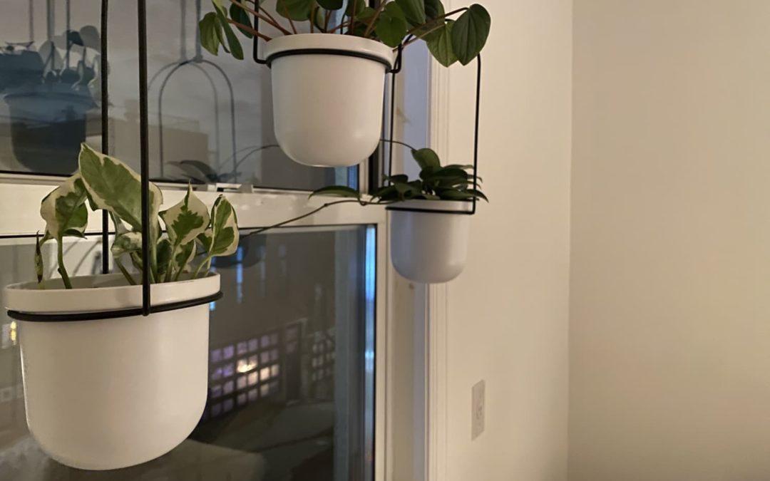 This Unique Planter Is Perfect for Small Spaces and Gets Me So Many Compliments