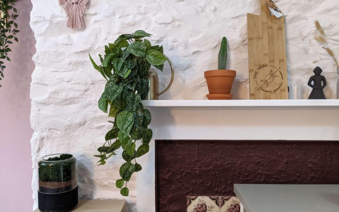 Briiv Air Purifier Review : the Natural Solution for Clean Indoor Air