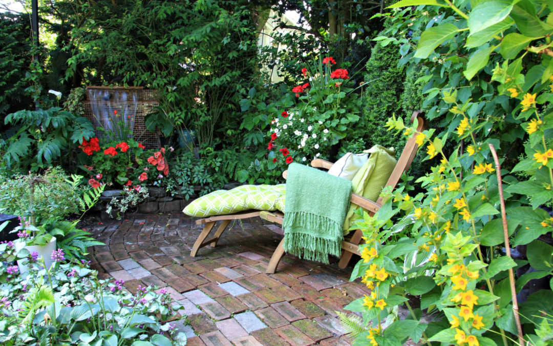 This Tropical Plant Is This Summer’s Gardening Must-Have, According to Experts