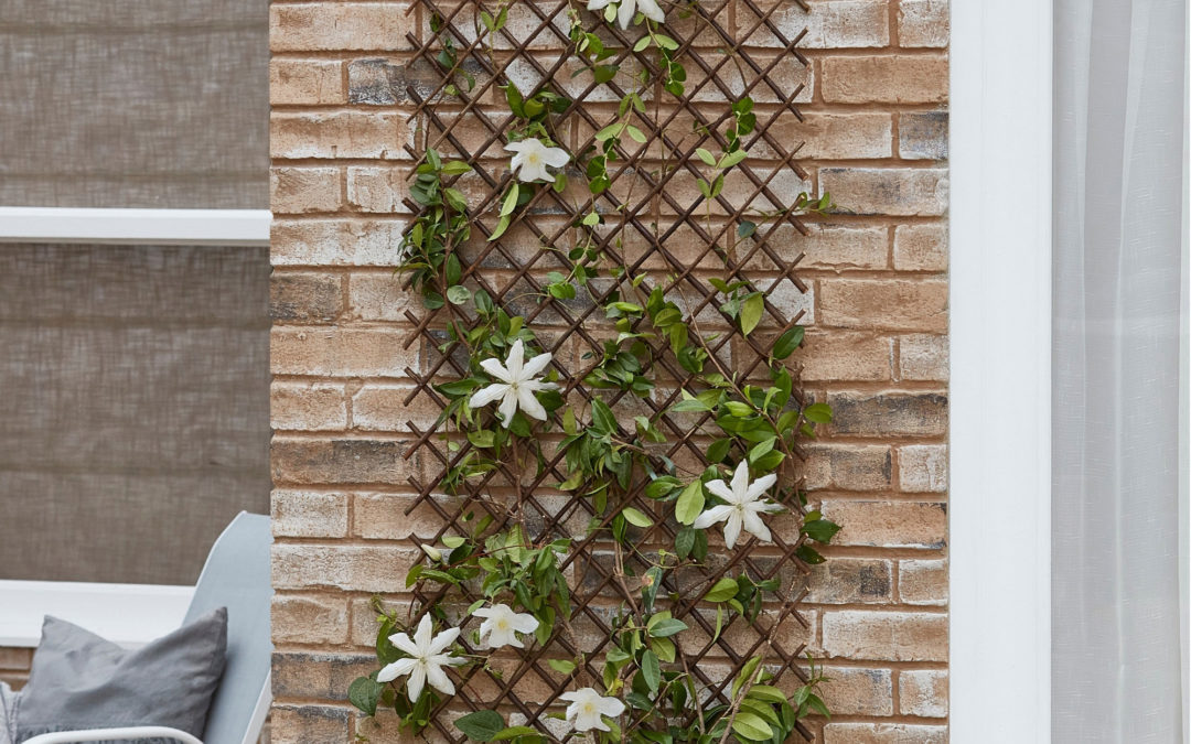 Garden trellis ideas- 21 ways to add structure and support for plants