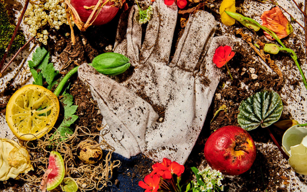The Ultimate Composting Guide for Total Beginners