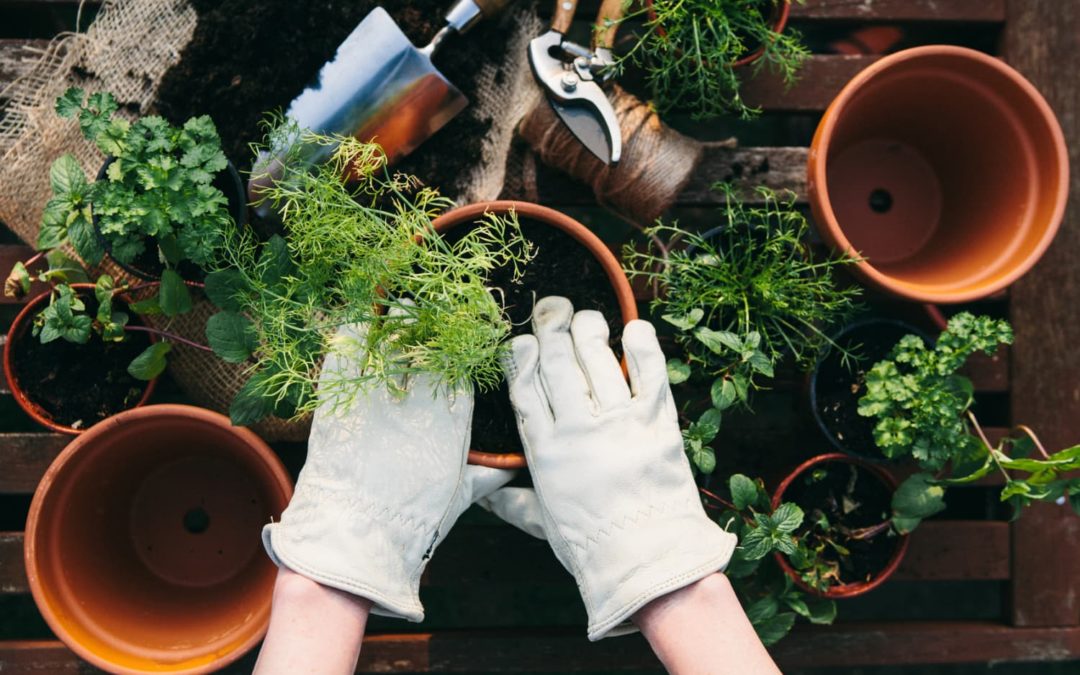 These Are the Most Popular Gardening Trends in 2022, According to Pinterest