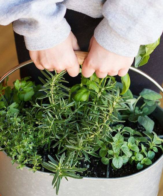 22 Creative Herb Garden Ideas