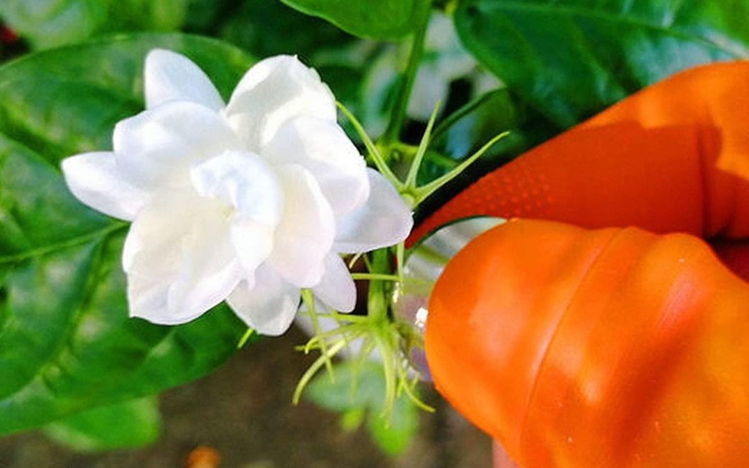 This Gardening Tool For Your Fingers Looks Silly But Also Satisfying