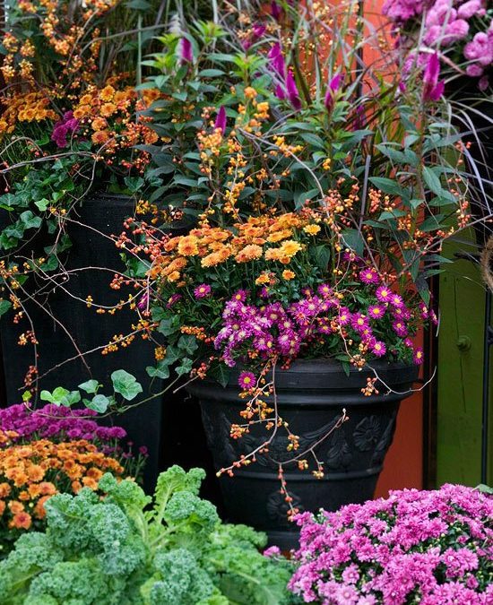 10 Incredibly Inspiring Fall Flower Gardens