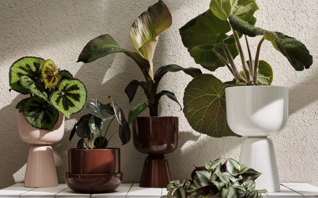 51 Large Planters to Upgrade Your Plant Game