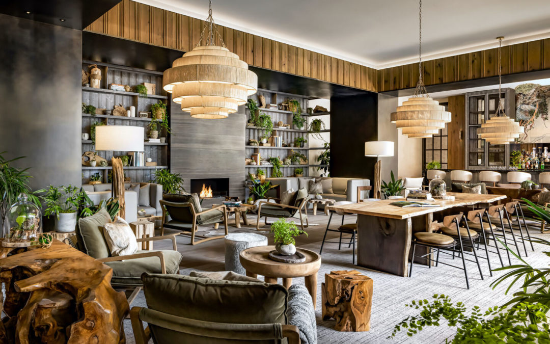 How to Use Biophilic Design Materials in Your Interior Design Project
