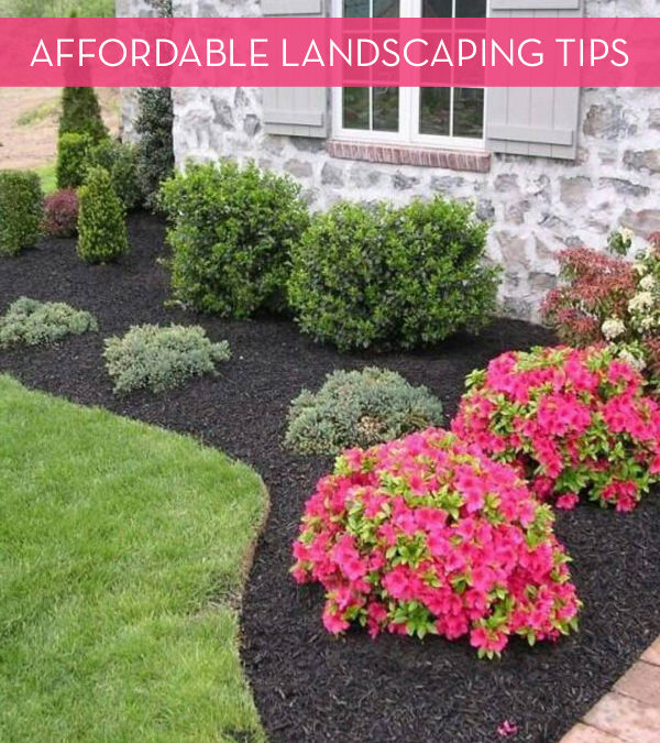 13 Tips For Landscaping On A Budget