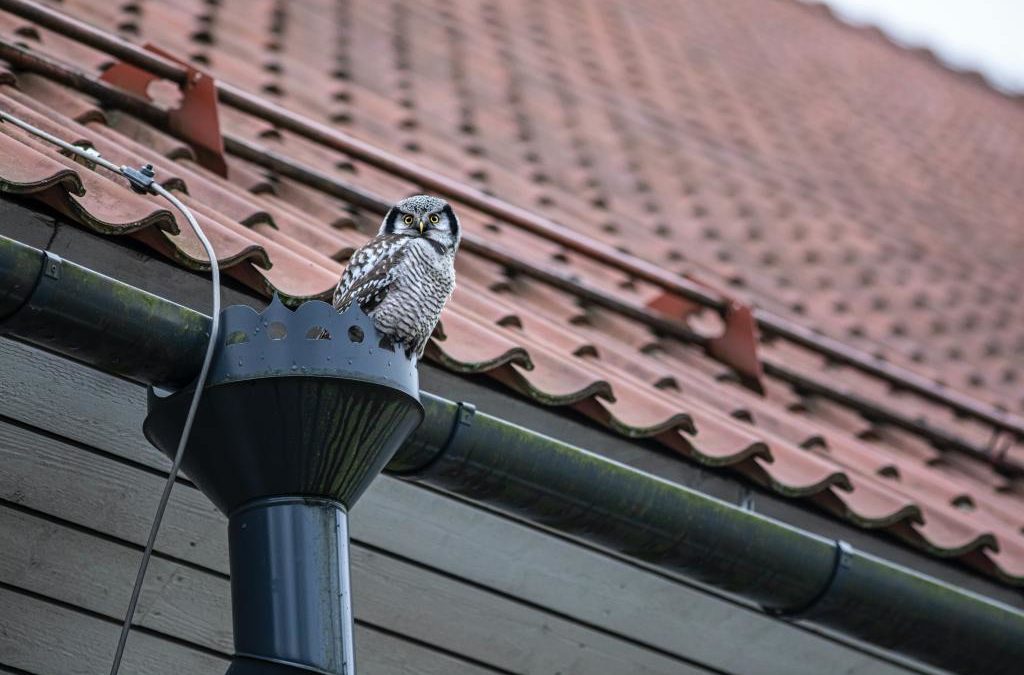 5 Gutter Installation Mistakes You Should Avoid