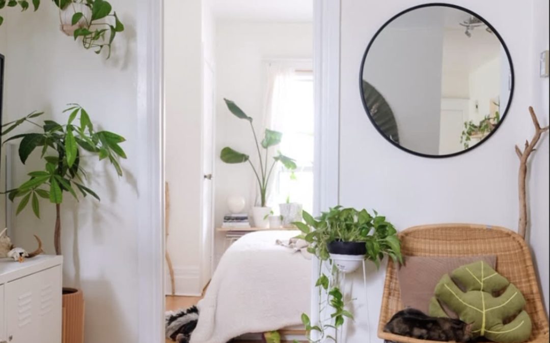 How to Keep Your Houseplant Collection From Looking Cluttered