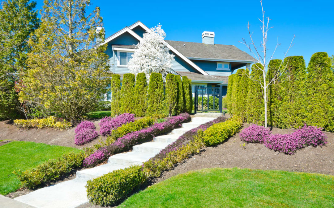 The Pesky Shrubs You Should Never Plant in Your Yard