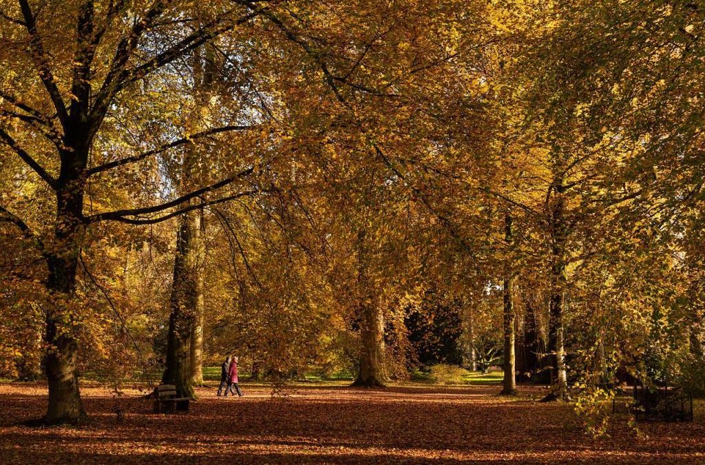 Best UK Places To See Autumn Colour in October