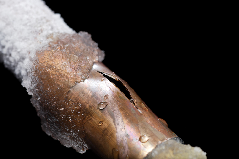 How a Damp Home Can Harm Your Physical and Financial Health