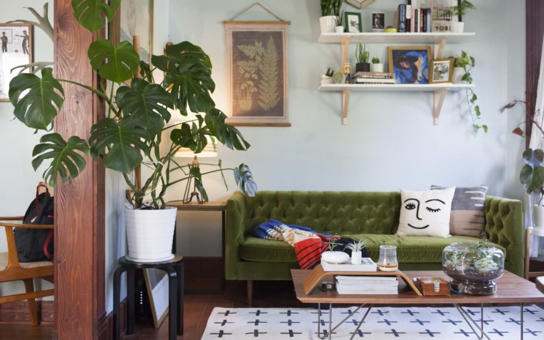 Support Your Houseplants in Style With These Trendy Plant Stakes