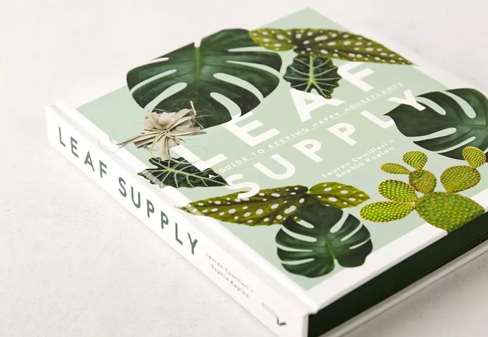 Product Of The Week: Guide to Keeping House Plants