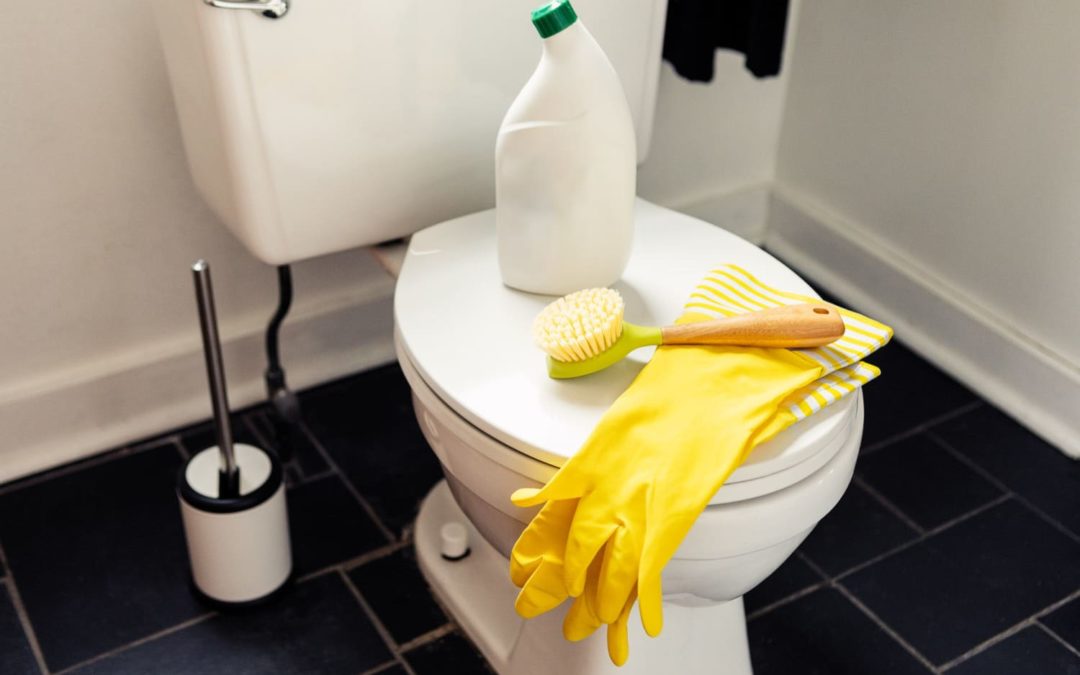 This $12 Tool Instantly Removes Stubborn Hard Water Toilet Rings