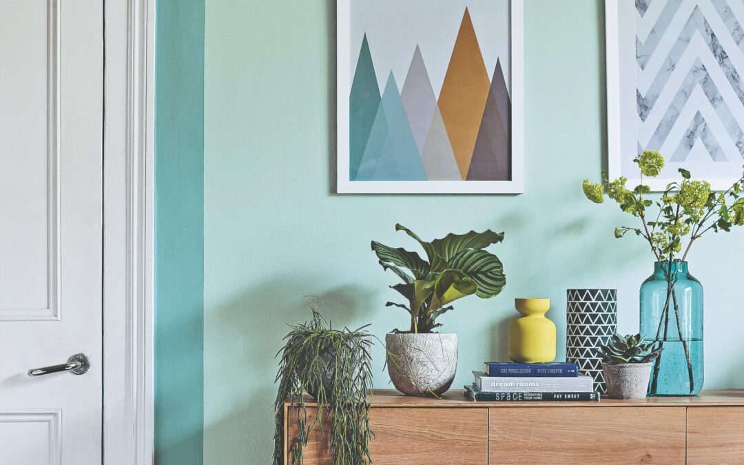 ‘I stained my patio green!’ What’s your biggest DIY mistake? Let us know