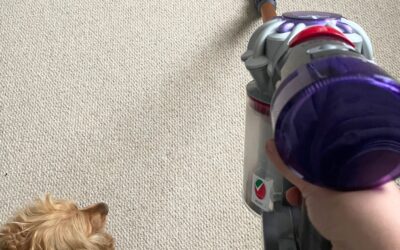Shopping the ‘secret’ side of Dyson is my favourite money-saving hack — it’s my new go-to for discounted vacuums, fans and more