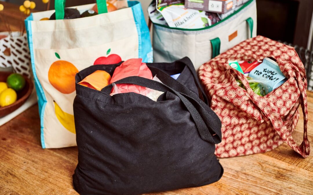 The Smartest Thing to Do With All Your Reusable Shopping Bags (It Tripled My Space!)