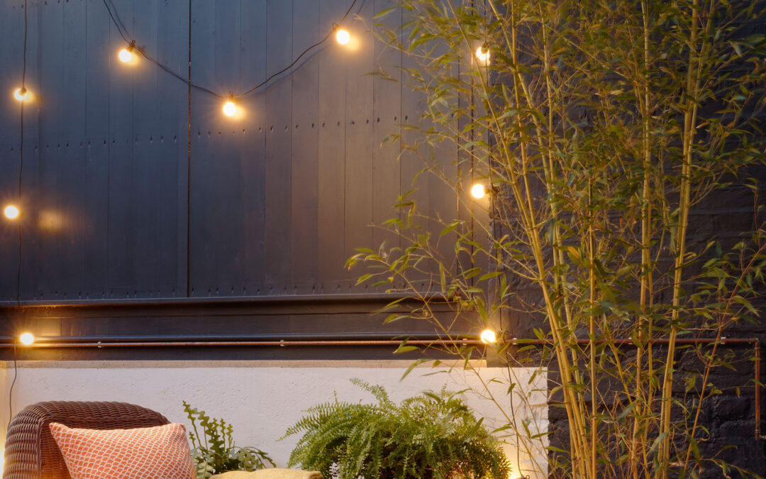Moonlighting is the breakout garden trend for autumn – experts reveal how to give your outdoor space a whimsical glow