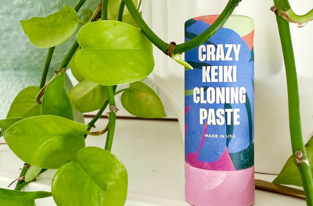 What Is Keiki Paste? And How To Use It On Your Plants