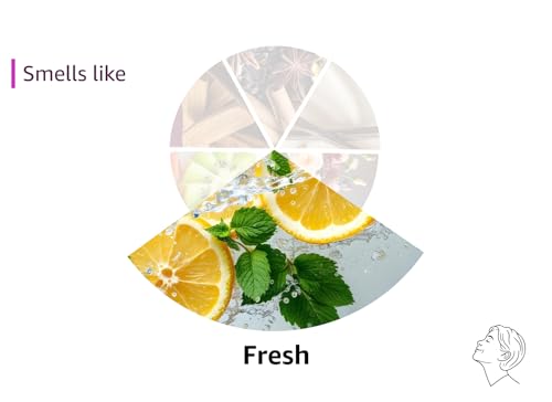 Thymes Frasier Fir Glass Candle - Image 2