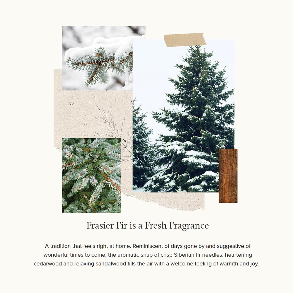 Thymes Frasier Fir Glass Candle - Image 9