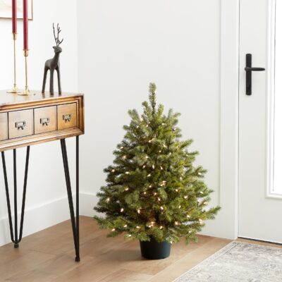 3 ft Pre-Lit Hampton Spruce Mini Artificial Christmas Tree