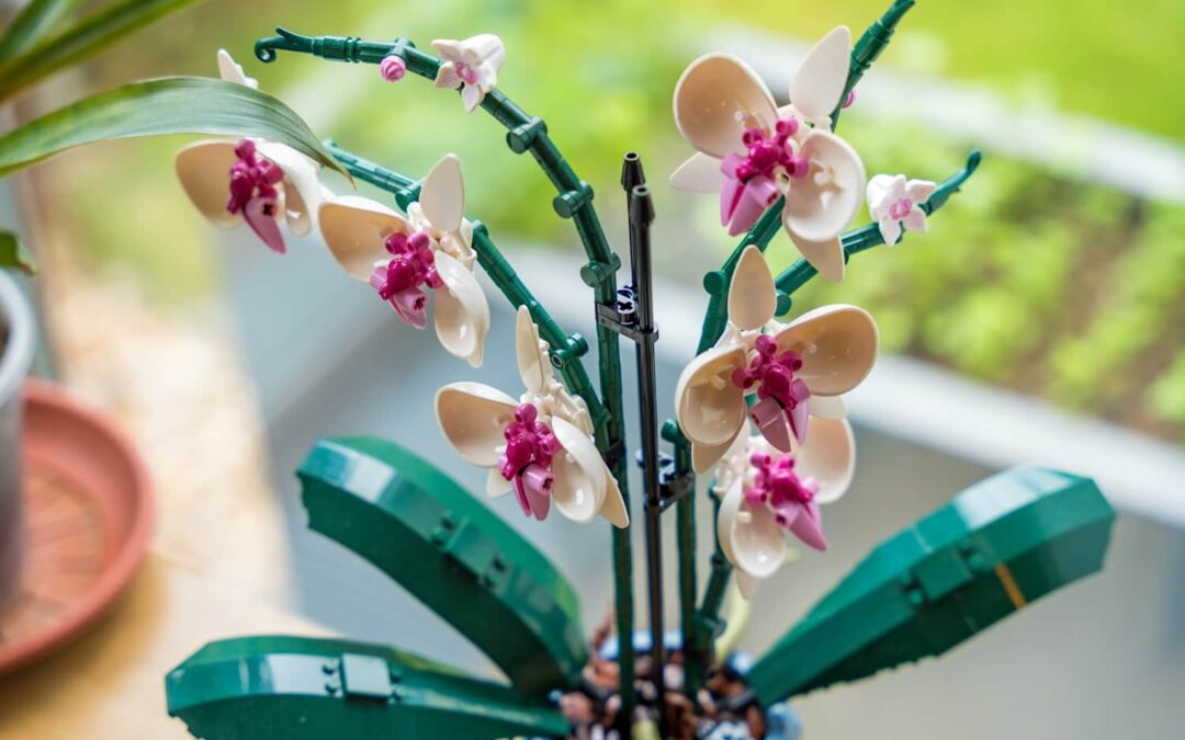 The Best LEGO Deals to Shop Right Now — Up to 49% Off!