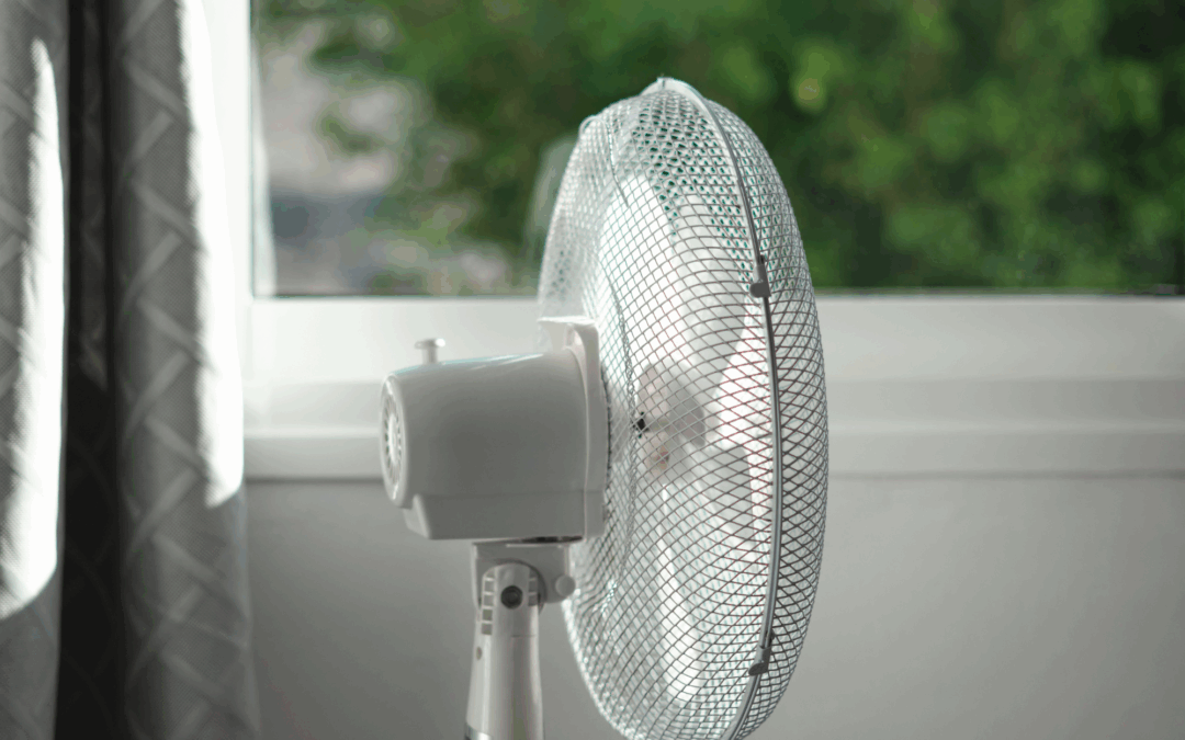Why I’m using a fan all winter to keep my home free from damp – these handy appliances are not just for summer